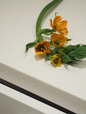 Pilke-Interior_wcremontti