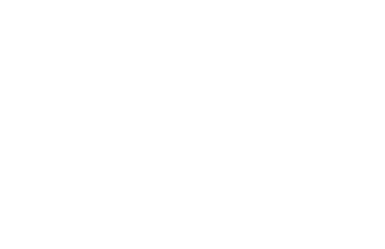 Studio Lanzett